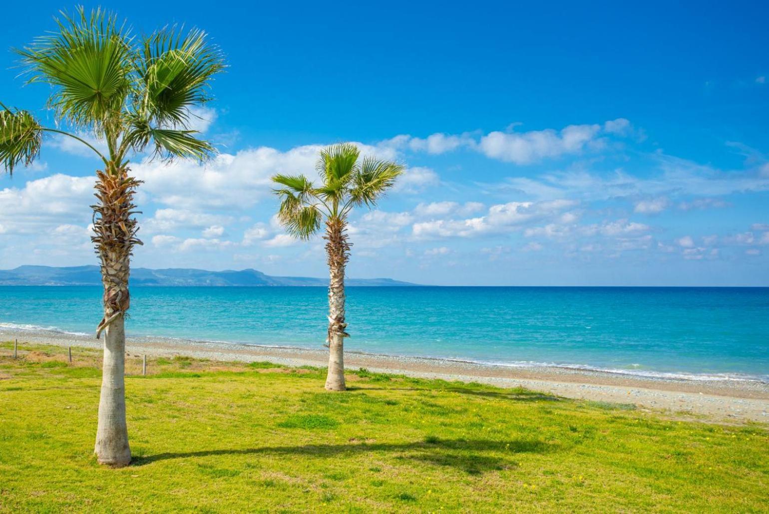 Villa Rose Πάφος Εξωτερικό φωτογραφία